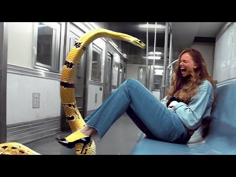 Momente, bei denen etwas schief gelaufen ist