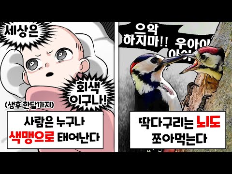이게 전부 진짜라고?? ㅋㅋㅋ [이왜진 신기한 사실 월드컵]