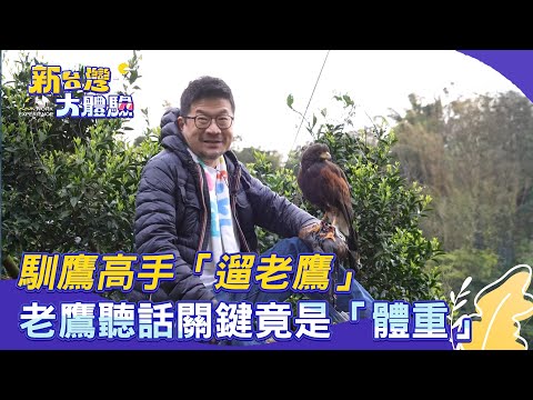 【新台灣大體驗】馴鷹高手「遛老鷹」老鷹聽話關鍵竟是「體重」｜廖慶學 2025.04.26 part2