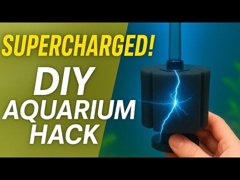 Supercharge Your Sponge Filter! DIY Aquarium Hack for Crystal Clear Water