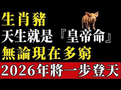 生肖豬：你天生就是『皇帝命』！不管現在多窮，明年2026年之後必將『一步登天』！#陳天師玄訣 #生肖#家運 #運勢 #風水 #財運 #命理#屬相運勢