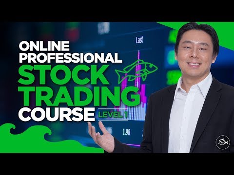 Professional Stock Trading Course Lesson 1 of 10 by Adam Khoo