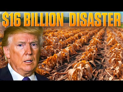 Trump’s Trade War Just Destroyed American Farmers