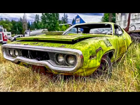 Unreal 2025 Junkyard Finds: Hemi, Camaro, GTOs - ALL Left to ROT!