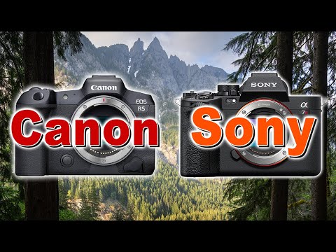 Canon R5 vs Sony A7RV - Image Quality Review