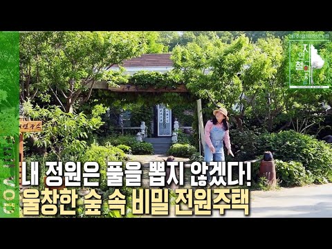 시부모님이 사시던 시골 옛집이 변했다! 울창한 숲으로 애워싸여 있는 비밀정원 [자연의 철학자들 KBS 20220715 방송]