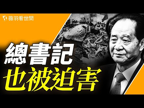 他是史上最慘總書記，還是最有良心總書記？胡耀邦：要是人民知道中共的历史就要起來推翻它了。｜薇羽看世間 第813期  20240110