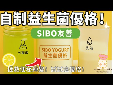 EP38.「✨ SIBO 救星？DIY 益生菌優格完整教學：從便秘到掉髮的健康飲食解方」