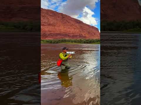 The Most Peaceful Fishing Trip Ever — Grand Canyon Adventure! 🎣✨ #fishing