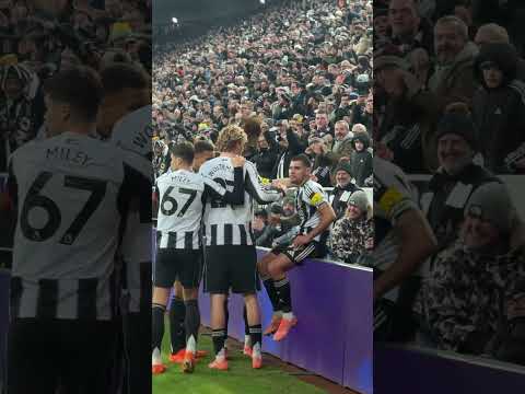 The passion of this man is something else! #premierleague