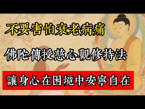 不要害怕衰老病痛，佛陀傳授慈心觀修持法，讓身心在困境中安寧自在！#佛教 #佛家 #佛法 #佛學知識 #佛學智慧 #修心修行 #佛教文化 #禪悟人生 #傳統文化