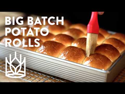 The Biggest, Softest Dinner Rolls — Period