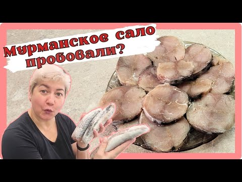 MACKEREL IS TASTIER THAN SALMON / AN EXCELLENT LIGHTLY SALTED FISH RECIPE / MURMANSK LARD