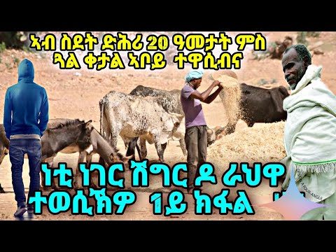 ኣብ ስደት ድሕሪ 20 ዓመታት ምስ ጓል ቀታል ኣቦይ  ተዋሲብና ፡ ነቲ ነገር ሽግር ዶ ራህዋ  ተወሲኽዎ  1ይ ክፋል