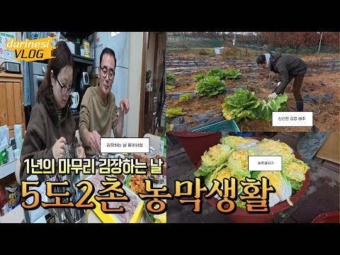 김장하는 날의 기록/겨울의 시작을 담은 겨울 준비 브이로그