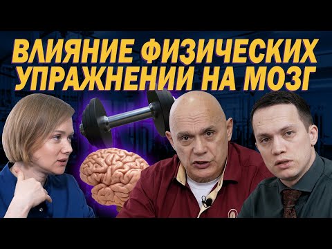 How does physical activity affect cerebral circulation? The effects of exercise on the brain