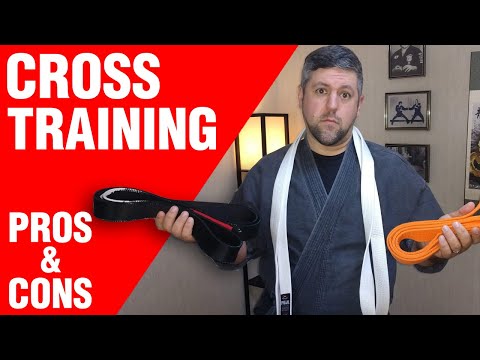 Martial Arts Cross Training: Pros and Cons | ART OF ONE DOJO