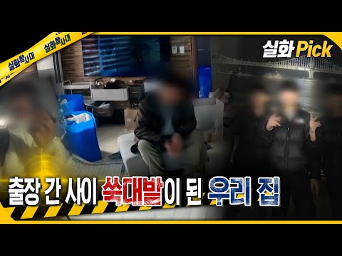 [실화Pick] 출장 간 사이 쑥대밭이 된 우리 집 #실화탐사대 #실화On MBC250313방송