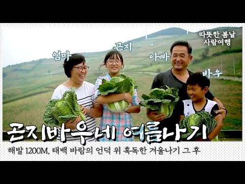 50만 돌파 곤지바우네 겨울나기 그 후.. 태백의 여름도 겨울만큼 만만치 않다. 태백 바람의 언덕 위 곤지바우네 여름나기🏡｜[국내여행] KBS 20160921