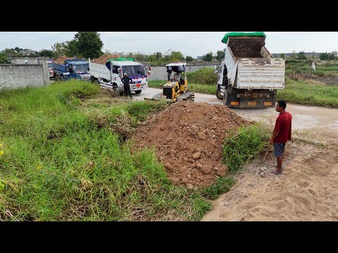 Great Begins Start! Land Filling Operation | Efficient Bulldozer & Dump Trucks Moving Stone & Soil