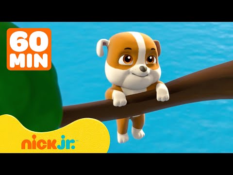 PAW Patrol | Baby Rubble kommt zur PAW Patrol und steckt im Baum fest! | 1 Stunde | Nick Jr.