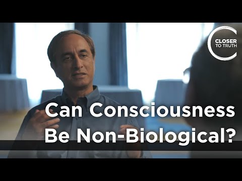 Subhash Kak - Can Consciousness Be Non-Biological?