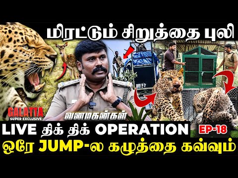 🐅சிறுத்தைய கூண்டுல அடைச்சா இரும்பு Gate-அ கடிச்சி உடைக்கும்😱நடுநடுங்க வைக்கும் Operation🔥Ep- 18