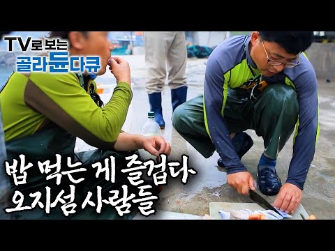 장 보러 마트 대신 바다로 간다. 자급자족 오지섬사람들의 삼시세끼 모음집ㅣ섬에서 먹으면 더 맛있는 밥ㅣ한국기행│#골라듄다큐