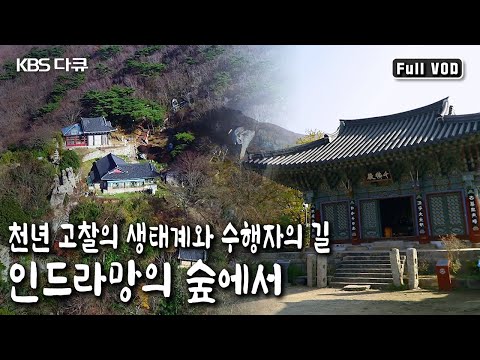 세계유산 대흥사! 보배 그물의 인연, 인드라망! 땅끝 두륜산의 사계 속에 산사의 빛, 소리, 숨결을 담은 산사 순례 (KBS 20190912 방송)
