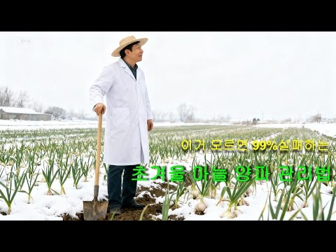 [농업이야기]❄️ 겨울에 마늘·양파 이렇게 키우면 진짜 작살납니다