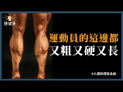 【怎樣跳更高？】揭秘被忽略的人體「彈簧系統」讓你跳更高、殺球更有力｜上集｜彈力訓練技巧、生物力學解析🔥｜ft. 北投流暢哥 @HDbananaFish 、文編