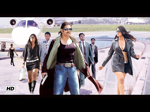 Don No 01 (HD) Blockbuster Superhit South Indian Hindustani Dubbed Action Movie | Nagarjuna, Anushka