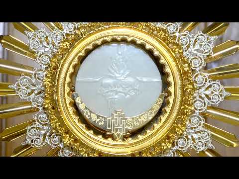 Adoración Eucarística en silencio. Una hora con el Señor expuesto 🙏 ¡Mi Paz eres Tú Jesús!