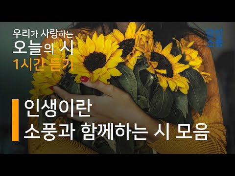 오늘의 시|인생이란 소풍과 함께하는 시 낭송 모음|1시간 듣기|나태주 시인, 도종환 시인, 서정주 시인, 류시화 시인, 정호승 시인 외|좋은글|좋은시|유미숙|오디오북|감성소풍
