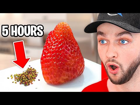 People With Too Much FREE TIME!