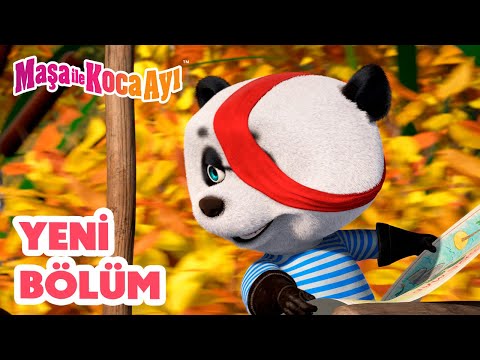 Maşa İle Koca Ayı - Yeni bölüm 2024! 🦜Hazine Adasi  🏴‍☠️ Bölüm koleksiyonu 🎬