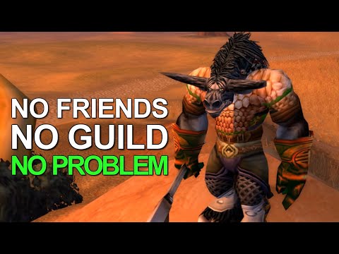 Why Do People Play MMORPGs Solo?
