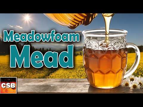 Let's Make a "Traditional" Mead - Meadowfoam Honey Mead Recipe