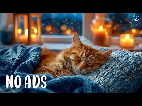 Calming Music for Cats with Anxiety 🐈Soft Music for Cats 🎃Stress Relief & Sleep #catmusic