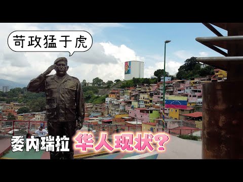 委内瑞拉华人现状，终于知道为何会闹饥荒，苛政猛于虎【⑦Caracas Venezuela】
