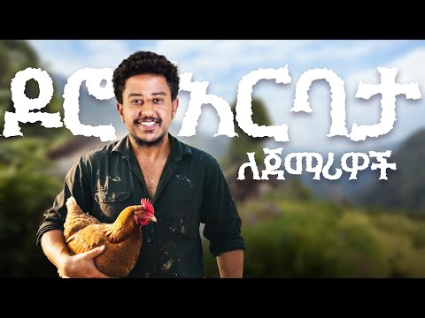 በዶሮ እርባታ ጀማሪዎች ሊያውቋቸው የሚገቡ 7 መሰረታዊ ነጥቦች