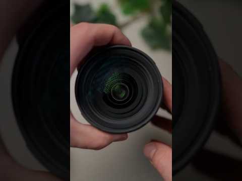 My Go-To Run & Gun Lens