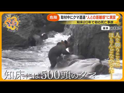 【危険】取材中カメラ前にヒグマが… “人とクマの距離感”に異変 知床パトロールに密着【サン！シャインニュース】