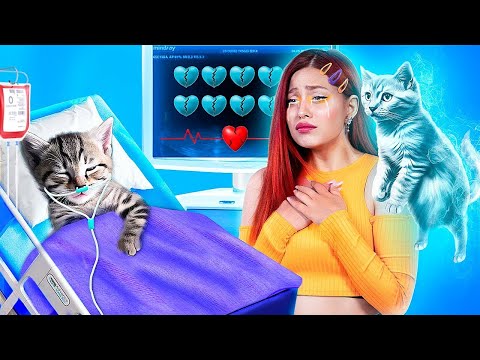 Zachraňte tuhle malou kočku! Tajné triky pro majitele domácích mazlíčků!