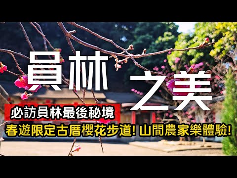員林秘境療癒之旅❗媲美京都🌸百年古厝石階櫻花步道｜山腳路必吃銅板價小吃｜隱藏山間農家樂紅土窯料理｜員林❌彰化｜TAIWAN｜
