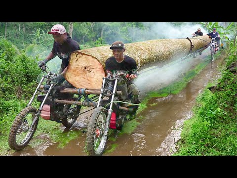 The Crazy Way They Transport Gigantic Logs From Deep Forest