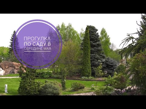 ПРОГУЛКА ПО САДУ В СЕРЕДИНЕ МАЯ