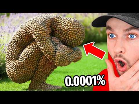 Rare People You *WON’T* Believe Exist!