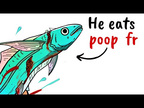 Why It Sucks To Be Born As a Pearlfish