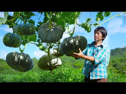 圆盘南瓜金黄香甜，阿嬷做两种中秋月饼，一种晶莹剔透一种外酥里嫩｜Pumpkin Mooncake